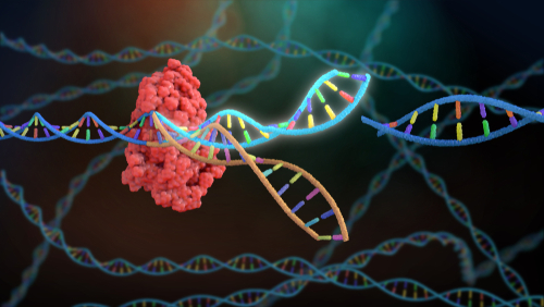 CRISPR-Cas9 and RNA