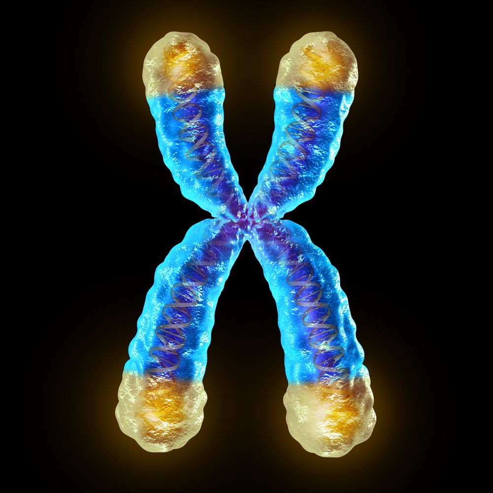Image of a chromosome
