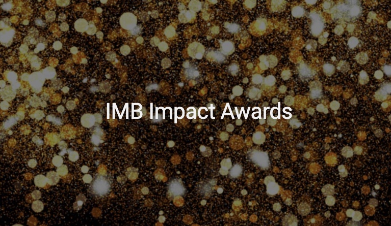 IMB impact awards