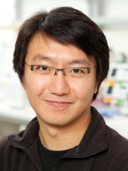 Dr. Frank Chan