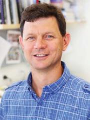 Professor Matt Sweet