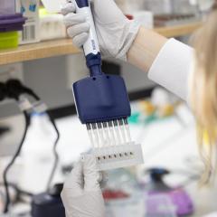 Quantitative transcriptome analysis (CAGE)