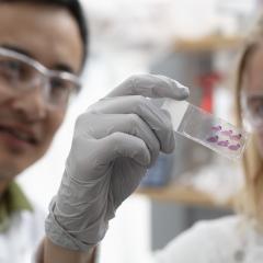 Researchers