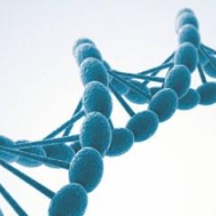 DNA