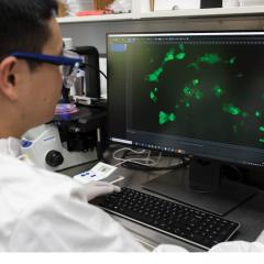 Dr Di Xia