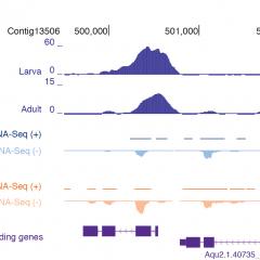 Genome browser