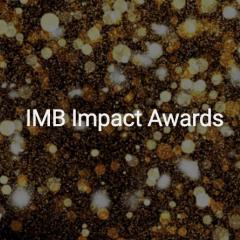 IMB Impact awards