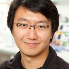 Dr. Frank Chan