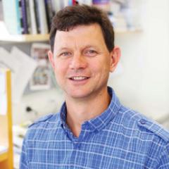 Professor Matt Sweet 