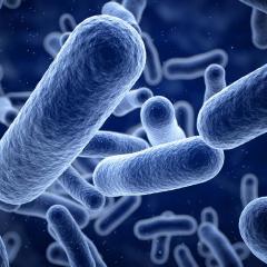 Using transposon-sequencing to probe whole cell protein-protein interactions