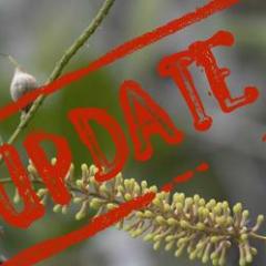 Improvements in the sequencing and assembly of plant genomes