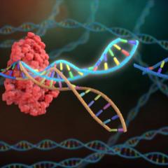 CRISPR-Cas9