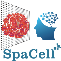 SpaCell logo