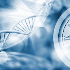 Combining novel scSLAM-seq technology with 10x Genomics Chromium 